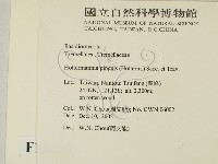 登錄號:F0016439藏品圖，第2張