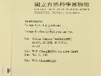 登錄號:F0016440藏品圖，第2張