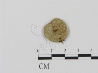 登錄號:F0016440藏品圖，第1張