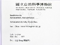 毛木耳藏品圖，第2張