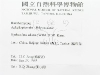 煙管菌藏品圖，第3張