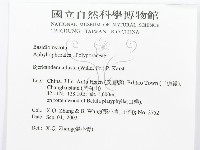 煙管菌藏品圖，第3張