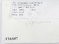 登錄號:F0016447藏品圖，第2張