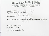 登錄號:F0016447藏品圖，第3張