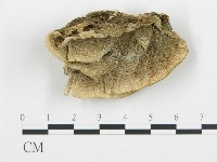 登錄號:F0016447藏品圖，第1張