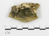 登錄號:F0016447藏品圖，第4張