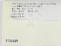 登錄號:F0016449藏品圖，第2張