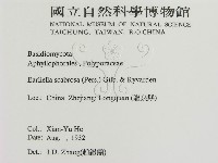 登錄號:F0016450藏品圖，第3張