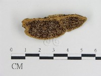 登錄號:F0016450藏品圖，第1張