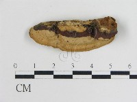 登錄號:F0016450藏品圖，第4張