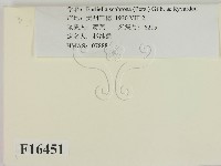 登錄號:F0016451藏品圖，第2張