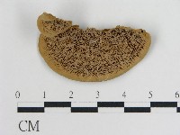 登錄號:F0016451藏品圖，第1張