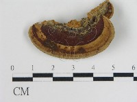 登錄號:F0016451藏品圖，第4張