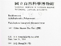 登錄號:F0016452藏品圖，第2張