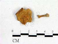 登錄號:F0016452藏品圖，第1張