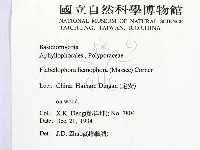 登錄號:F0016453藏品圖，第2張