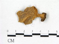 登錄號:F0016453藏品圖，第1張