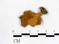 登錄號:F0016453藏品圖，第3張