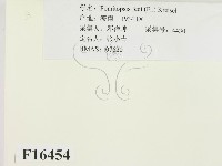 登錄號:F0016454藏品圖，第2張