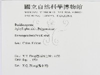 登錄號:F0016454藏品圖，第3張