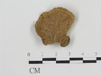 登錄號:F0016454藏品圖，第1張