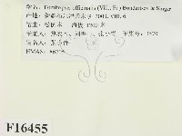 登錄號:F0016455藏品圖，第2張