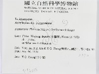 登錄號:F0016455藏品圖，第3張