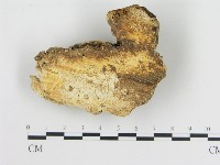 登錄號:F0016455藏品圖，第4張