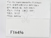 松生擬層孔菌藏品圖，第2張