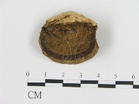 登錄號:F0016457藏品圖，第1張