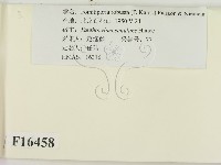 登錄號:F0016458藏品圖，第2張