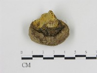 登錄號:F0016458藏品圖，第1張