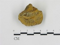 登錄號:F0016458藏品圖，第3張