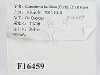 登錄號:F0016459藏品圖，第2張