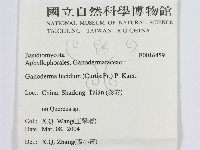 登錄號:F0016459藏品圖，第3張