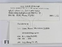 登錄號:F0016460藏品圖，第2張