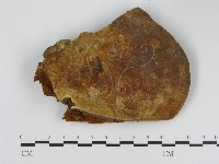 登錄號:F0016460藏品圖，第4張