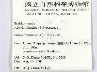 登錄號:F0016461藏品圖，第2張