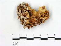 登錄號:F0016462藏品圖，第1張