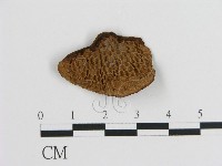 登錄號:F0016463藏品圖，第1張