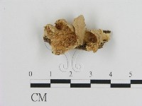 登錄號:F0016465藏品圖，第1張