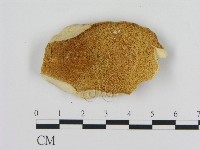 登錄號:F0016466藏品圖，第1張