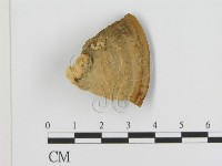 登錄號:F0016467藏品圖，第1張