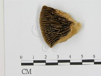 登錄號:F0016467藏品圖，第3張