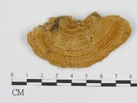 登錄號:F0016468藏品圖，第1張