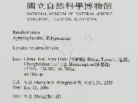 登錄號:F0016469藏品圖，第2張