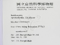 登錄號:F0016471藏品圖，第2張