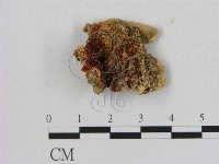 登錄號:F0016471藏品圖，第1張