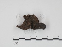 登錄號:F0016473藏品圖，第3張