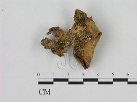 登錄號:F0016474藏品圖，第3張